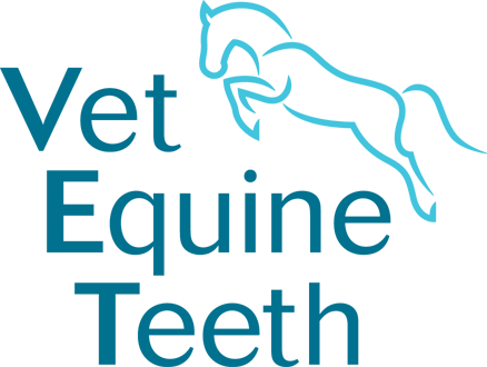 Vet Equine Teeth